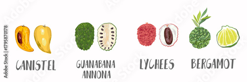 Vector fruits icons set in hand drawn style. Collection farm product for restaurant menu, market label.