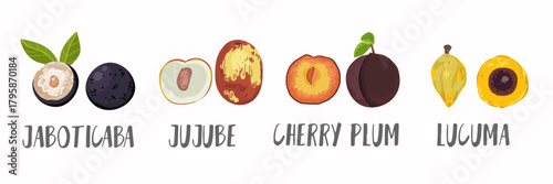 Vector fruits icons set in hand drawn style. Collection farm product for restaurant menu, market label.