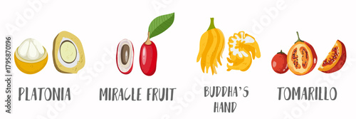 Vector fruits icons set in hand drawn style. Collection farm product for restaurant menu, market label.