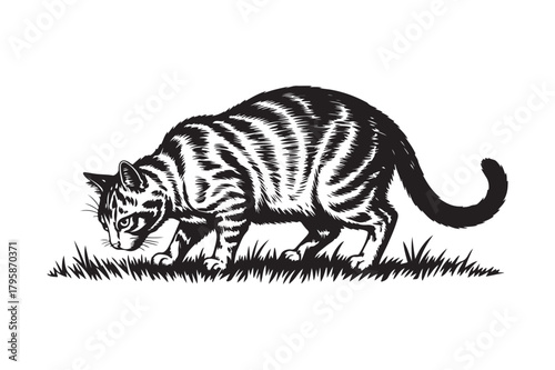 Black and white illustration of a tabby cat hunting in grass