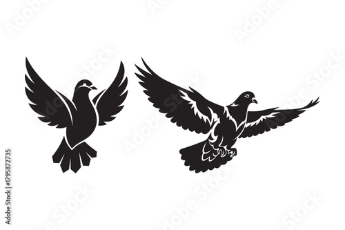 Two silhouette pigeons in flight with wings spread wide