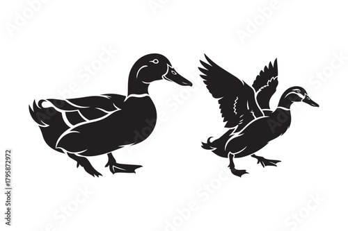 Two black silhouettes of ducks one standing one about to fly