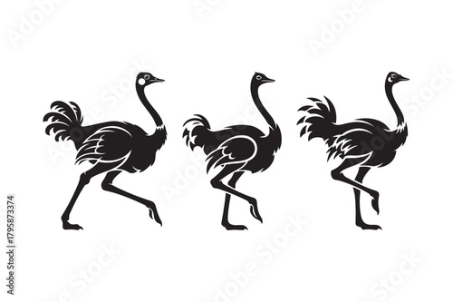Three silhouetted ostriches in motion against a white background