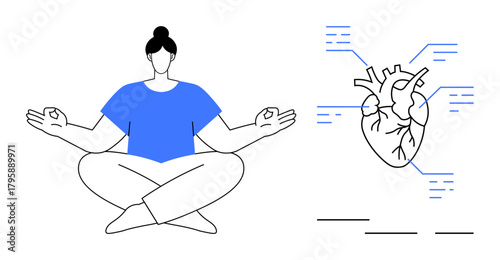 Woman practicing meditation in seated pose beside diagram of a heart highlighting connections. Ideal for self-care, mindfulness, wellness, health education, meditation, heart health, simple flat