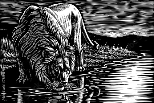 A thirsty lion lowers his head to drink from a clear river black and white sketch, reflecting his strong silhouette in calm water under muted afternoon sky