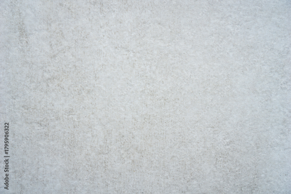 Obraz premium light grey abstract background texture closeup detailed surface with small specks and subtle lines concept of construction material, wallpaper, backdrop