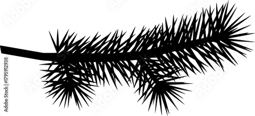 Black Silhouette of a Pine Tree Branch with Needles Vector Graphic
