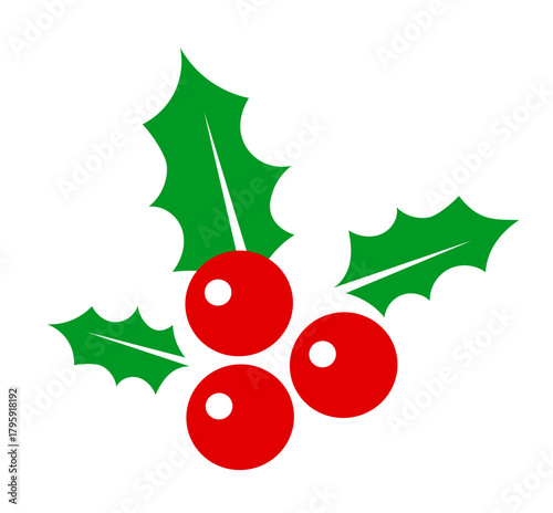 Holly with red berries on a white background