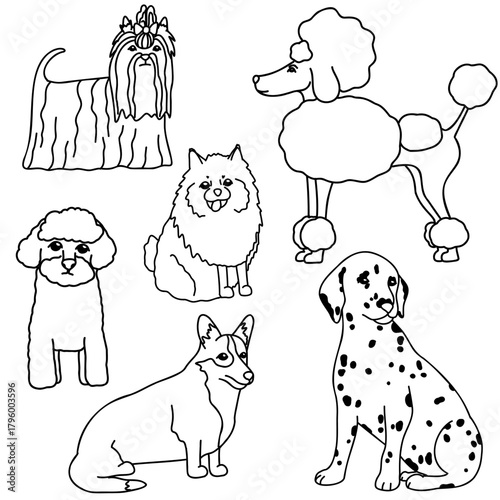 Hand drawn vector doodle set with different dog breeds 