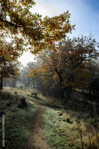 Autumn Hike on Woodlands View Trail in Jacksonville, Oregon
