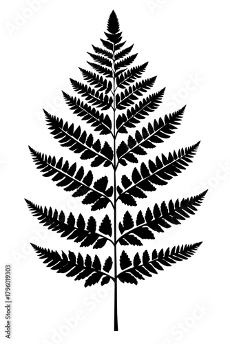 Silhouette Detailed Fern Leaf Outline
