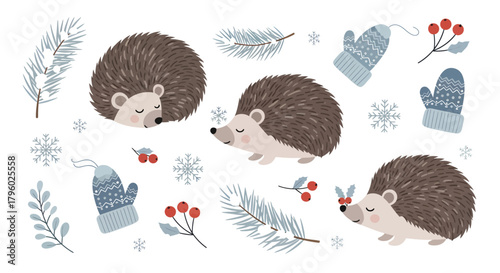 Cute sleeping hedgehogs with winter elements like pine branches, red berries, snowflakes, and knitted mittens on a white background.