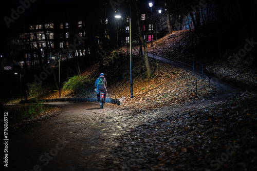 Canvas Print Nordic Night Cyclist in City Park