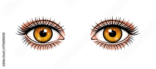 vector illustration of eyes