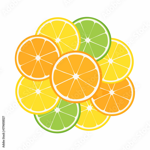 Colorful Citrus Fruit Slices Arranged in a Group.