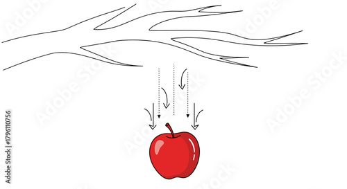 Simple gravity illustration apple falling from tree for Newton's Day science education infographic