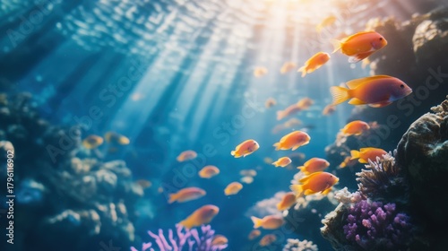 Fototapeta Naklejka Na Ścianę i Meble -  Sunlit coral reef teeming with vibrant orange fish