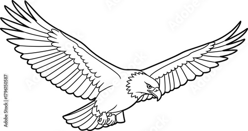 Eagle in flight, fierce bird, detailed feathers, sharp talons, black and white, predator pose, majestic wings, wildlife drawing, nature sketch, hunting motion