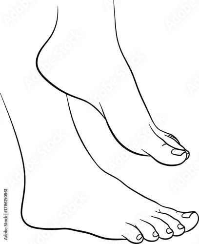 Human feet anatomy, black and white sketch, foot posture illustration, medical reference, barefoot stance, toe contour, educational drawing, motion pose