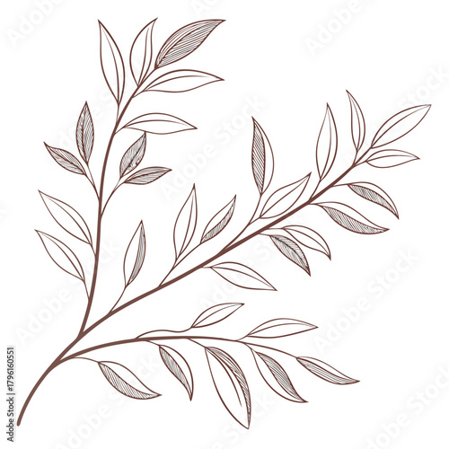 Stylized Branch with Outlined and Hatched Leaves foliage