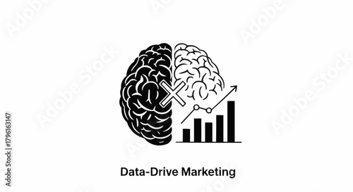 Data-Driven Marketing - Brain, Analytics, and Growth.