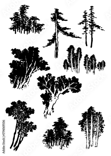 Collection of different silhouette of tree and branch isolated on a white background 