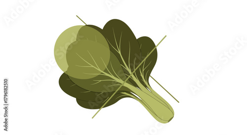 Abstract Bok Choy Illustration On Black Background And Minimalist Healthy Food Graphic