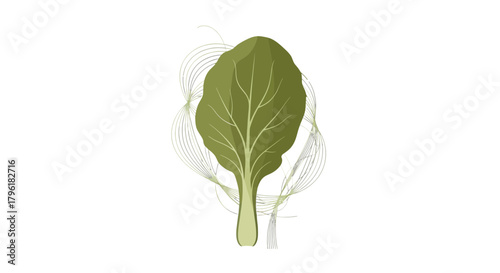 Abstract Leaf Artwork With Elegant Details Is Displayed Beautifully Against Black Background