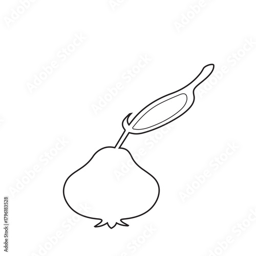 Outline Fruit Illustration