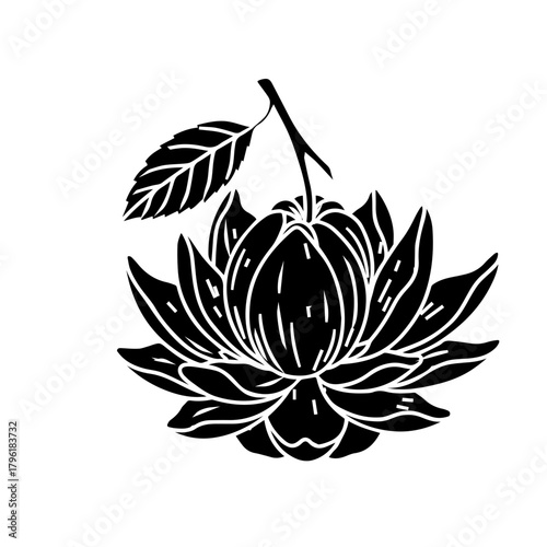 Black Lotus Blossom