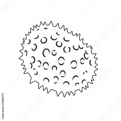 Pollen Grain Illustration