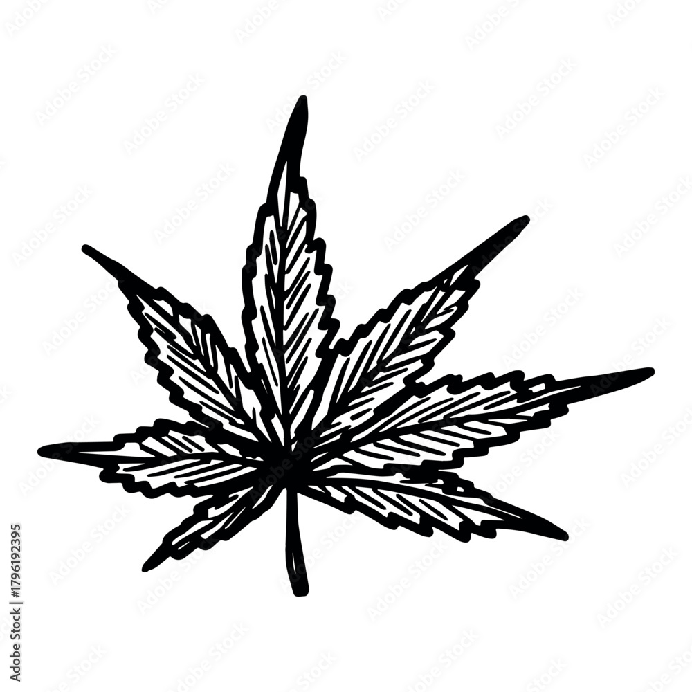 Obraz premium Hand drawn cannabis leaf Medicine marijuana Hemp leaves clipart in doodle style Single element for print, web, design, decor
