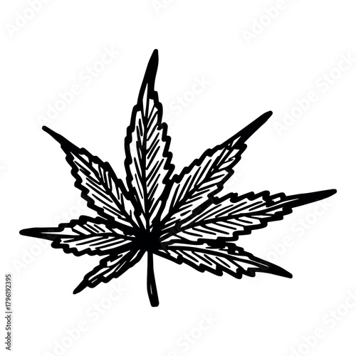 Hand drawn cannabis leaf Medicine marijuana Hemp leaves clipart in doodle style Single element for print, web, design, decor