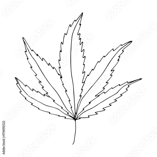 Hand drawn cannabis leaf Medicine marijuana Hemp leaves clipart in doodle style Single element for print, web, design, decor