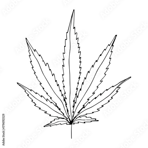 Hand drawn cannabis leaf Medicine marijuana Hemp leaves clipart in doodle style Single element for print, web, design, decor