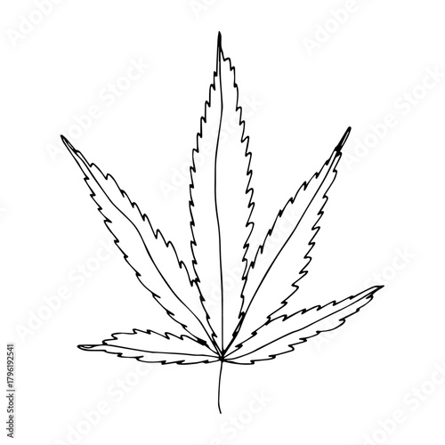 Hand drawn cannabis leaf Medicine marijuana Hemp leaves clipart in doodle style Single element for print, web, design, decor