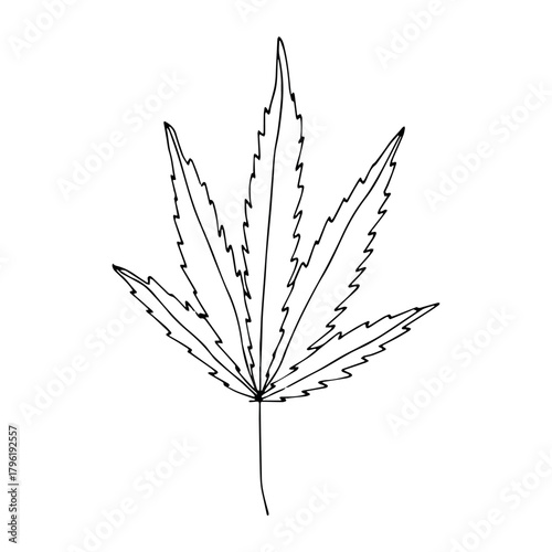 Hand drawn cannabis leaf Medicine marijuana Hemp leaves clipart in doodle style Single element for print, web, design, decor