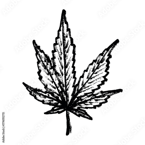 Hand drawn cannabis leaf Medicine marijuana Hemp leaves clipart in doodle style Single element for print, web, design, decor
