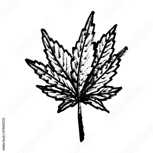 Hand drawn cannabis leaf Medicine marijuana Hemp leaves clipart in doodle style Single element for print, web, design, decor