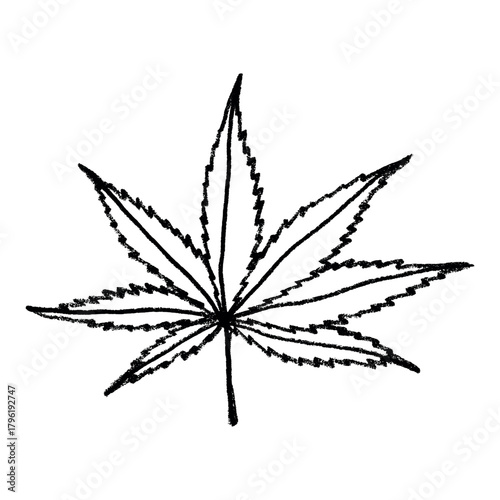 Hand drawn cannabis leaf Medicine marijuana Hemp leaves clipart in doodle style Single element for print, web, design, decor