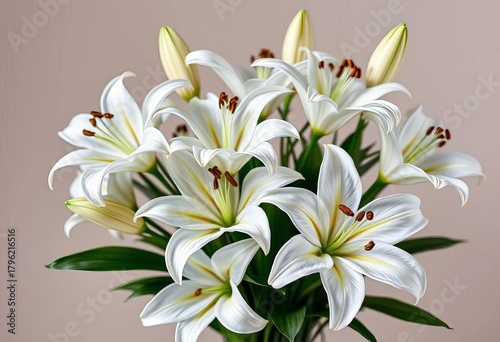 Elegant white lilies arranged in a classic bouquet, white, photography
