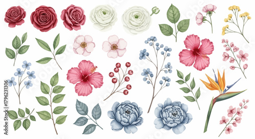 Watercolor Floral Elements Clipart Bundle | Diverse Flower and Leaf Collection