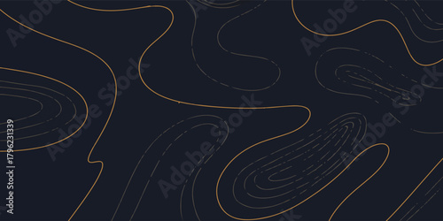 Elegant abstract background featuring thin golden topographic contour lines on a dark navy blue surface.
