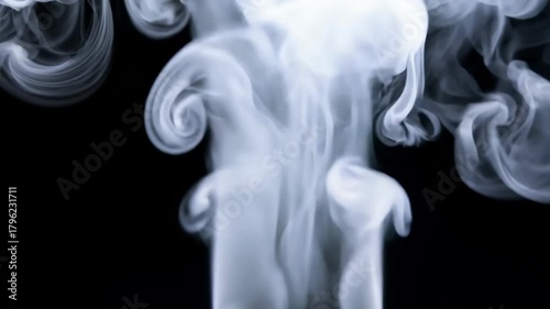 Wallpaper Mural Graceful white smoke swirls and wisps elegantly upward in motion Torontodigital.ca