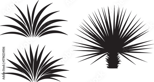 Tropical plants collection botanical elements agave bush leaves silhouetted on transparent