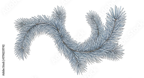 Close-up of a frosted or snow-dusted coniferous tree branch, possibly fir or spruce, isolated on a white background, showing winter texture.
