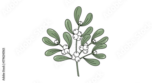 A simple illustration of a mistletoe sprig with green leaves and white berries, isolated on a white background.
