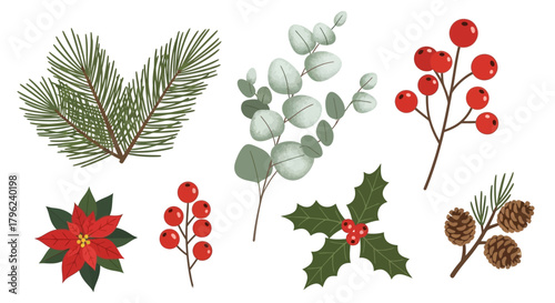 A collection of festive Christmas botanical elements including pine branches, poinsettias, holly, eucalyptus, and pinecones.