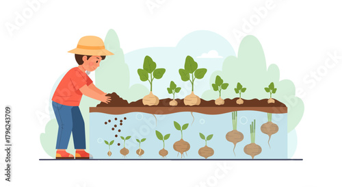 Cultivating A Visual Harvest: Planting, Growth, And The Rewards Of Gardening