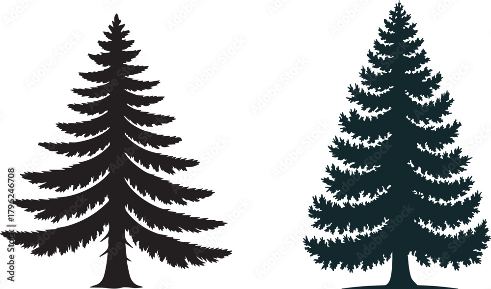 Obraz premium Pine tree silhouette coniferous evergreen with trunk and branches abstract isolated